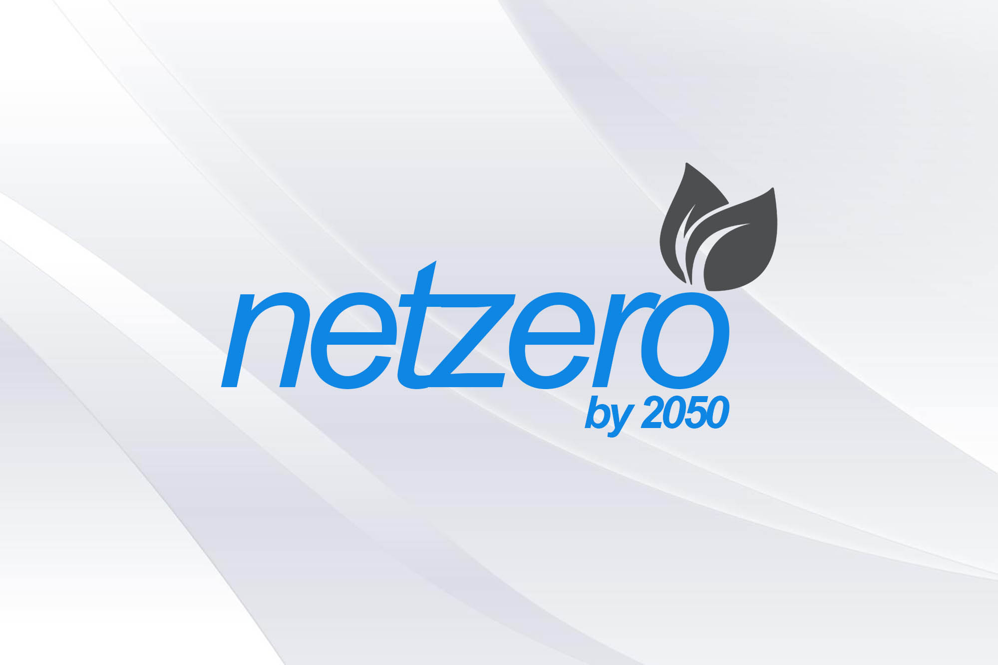 Net zero by 2050